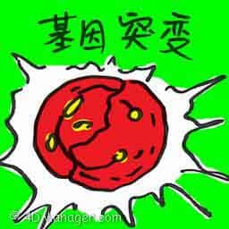 基因突变 gene mutation