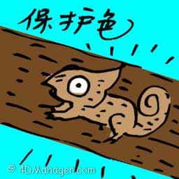 保护色 protective coloration