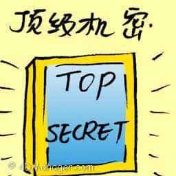 最高机密 top secret