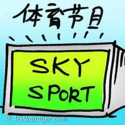 体育节目 sports show