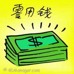 零用钱 pocket money