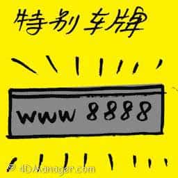 特别车牌 special car plate