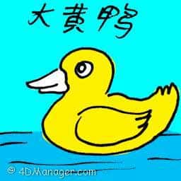 大黄鸭 rubber duck