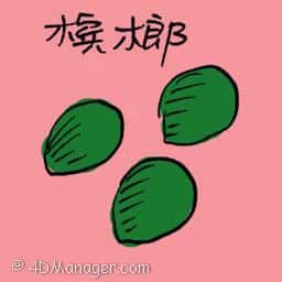 槟榔 areca