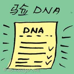 验DNA DNA test