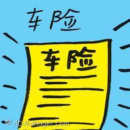 车险 car insurance
