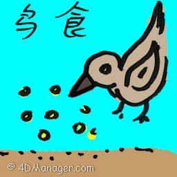 鸟食 bird food