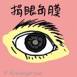 娟眼角膜 donate corneas