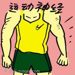 运动神经 motor nerve