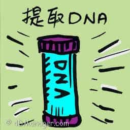 提取DNA dna extraction