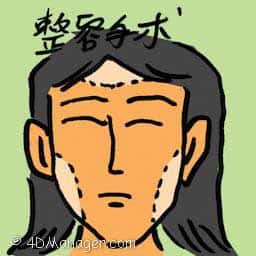 整容手术 cosmetic surgery