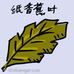 纸香蕉叶 paper banana leaves