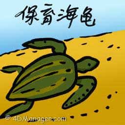 保育海龟 turtle conservation