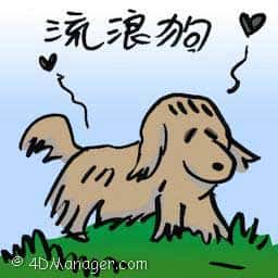 流浪狗 stray dogs