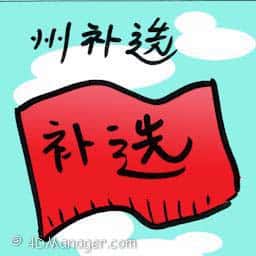 州补选 state by-election