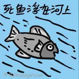 死鱼浮在河上 dead fish floating