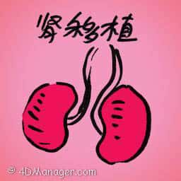 肾移植 kidney transplant