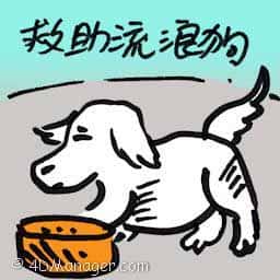 救助流浪狗 rescue stray dogs