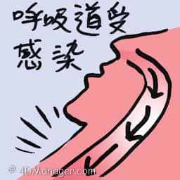 呼吸道受感染 respiratory infection