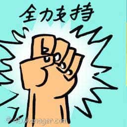 全力支持 full support