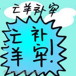 亡羊补牢 remedy