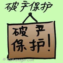 破产保护 bankruptcy protection