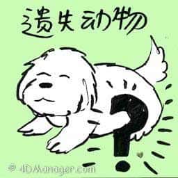 遗失动物 missing animal