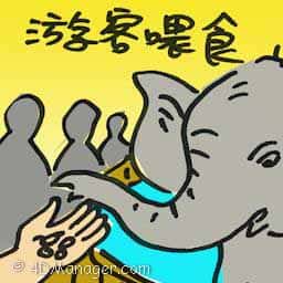 游客喂食 tourist feeding