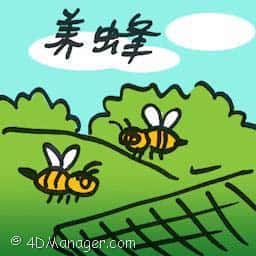 养蜂 beekeeping