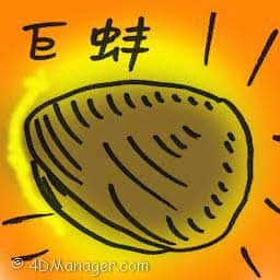 巨蚌 giant clam