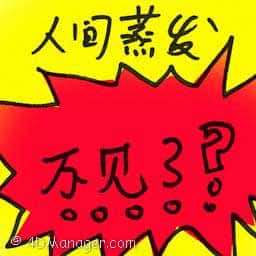 人间蒸发 disappeared