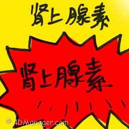 肾上腺素 epinephrine