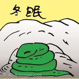 冬眠 hibernation