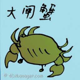 大闸蟹 chinese mitten crab