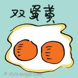 双蛋黄 double yolk egg