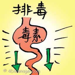 排毒 detox