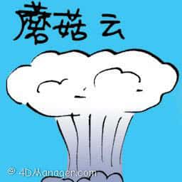 蘑菇云 mushroom cloud