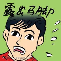 露出马脚 eluded capture