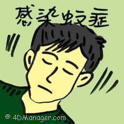 感染蚊症 dengue infection