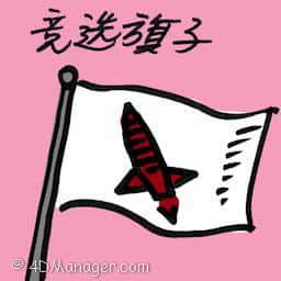 竞选旗子 election flags