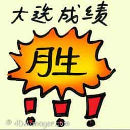 大选成绩 election results