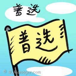 普选 general election