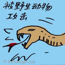 被野生动物攻击 wild animal attacked
