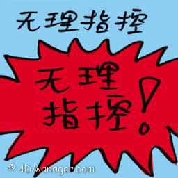 无理指控 baseless allegation