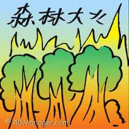 森林大火 wild bushfire