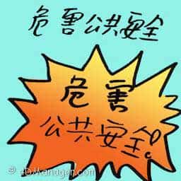 危害公共安全 危害公共安全 public safety threaten