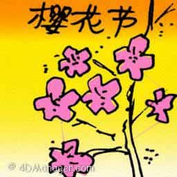 樱花节 cherry blossom festival