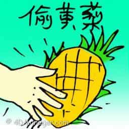 偷黄梨 stolen pineapple