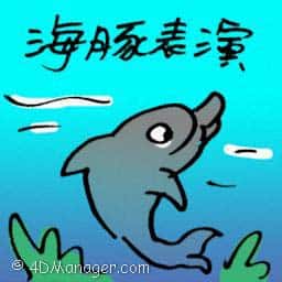 海豚表演 dolphin show