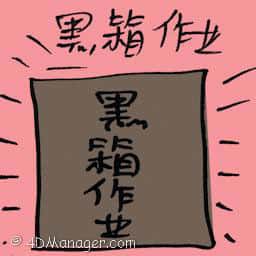 黑箱作业 black box operation